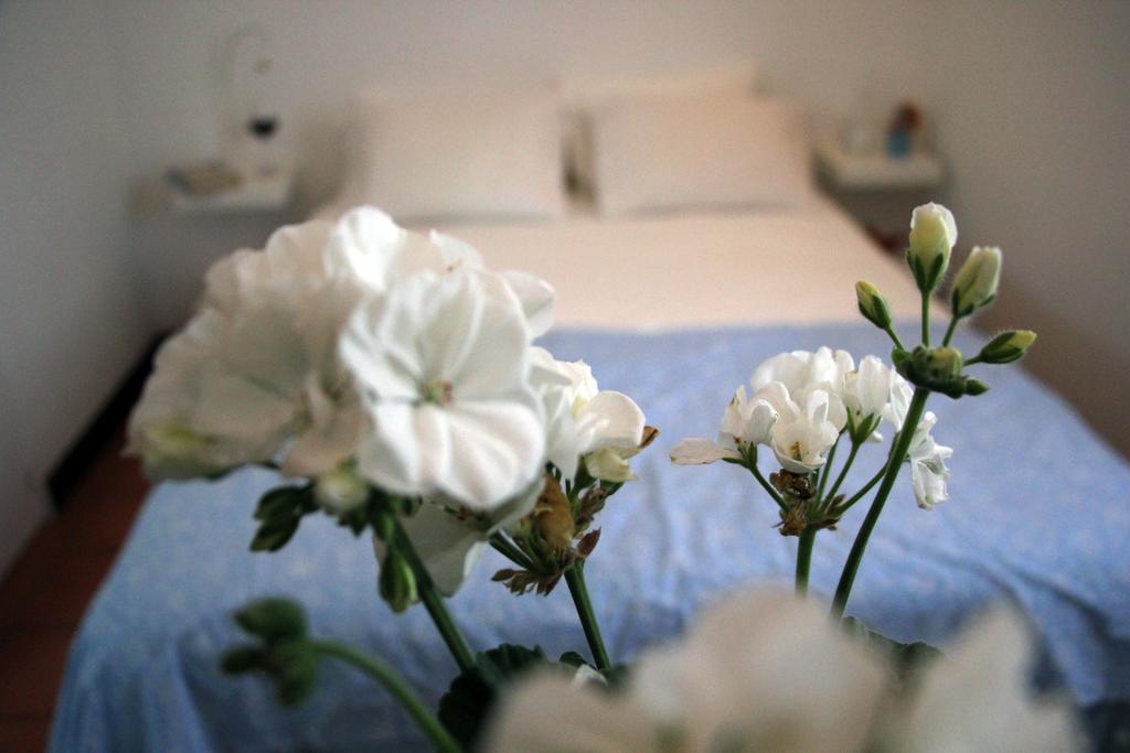 Bed and Breakfast A Casa Da Arvore Віла-Нова-де-Мілфонтеш Номер фото