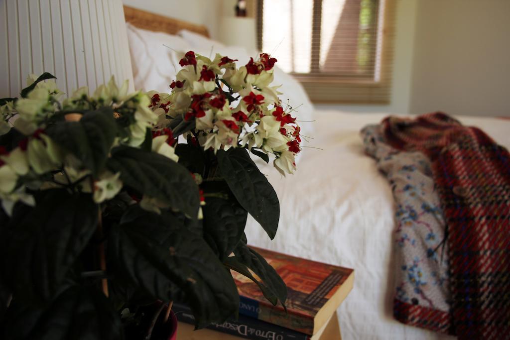 Bed and Breakfast A Casa Da Arvore Віла-Нова-де-Мілфонтеш Номер фото
