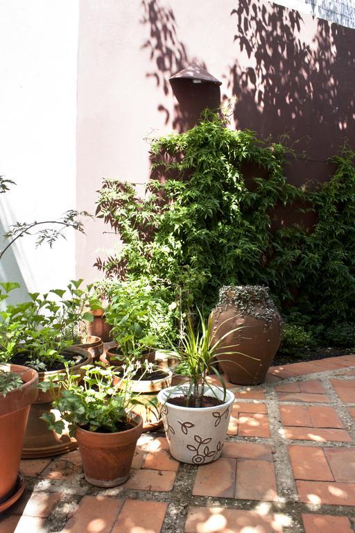 Bed and Breakfast A Casa Da Arvore Віла-Нова-де-Мілфонтеш Екстер'єр фото